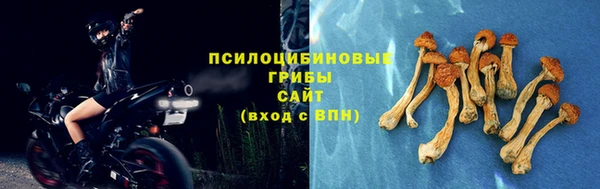 spice Корсаков