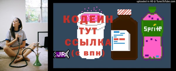 spice Корсаков