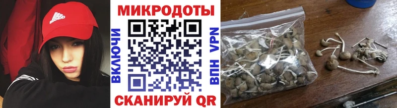 Псилоцибиновые грибы GOLDEN TEACHER  наркошоп  Лянтор 