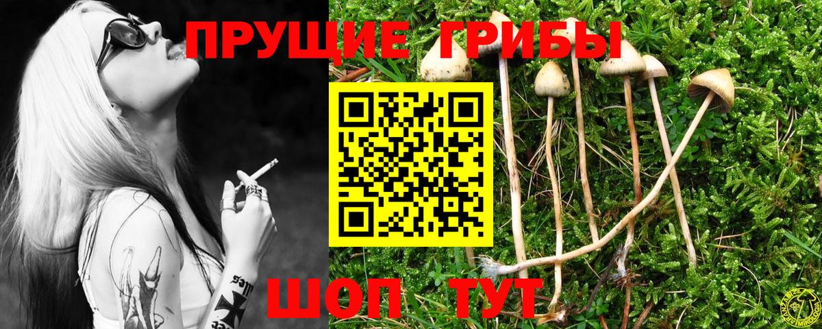 Галлюциногенные грибы Magic Shrooms Лянтор